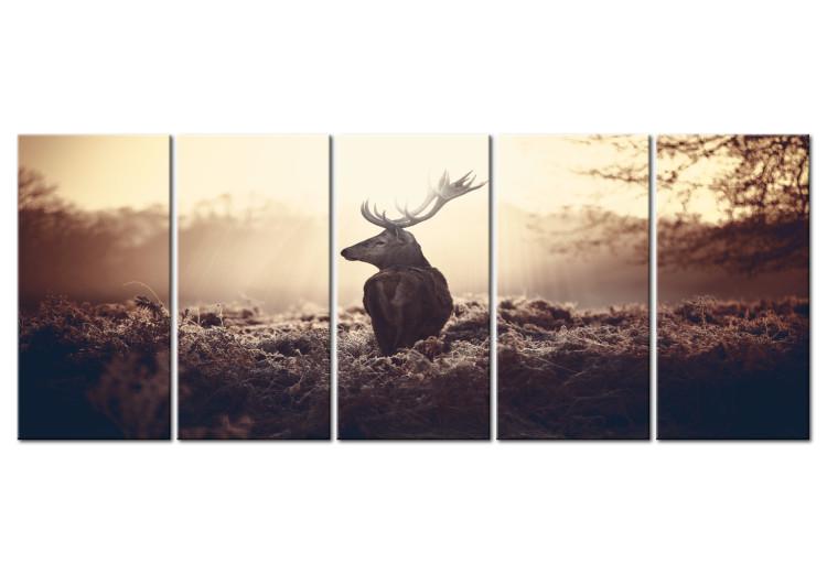 Canvas Print Stag in the Wilderness