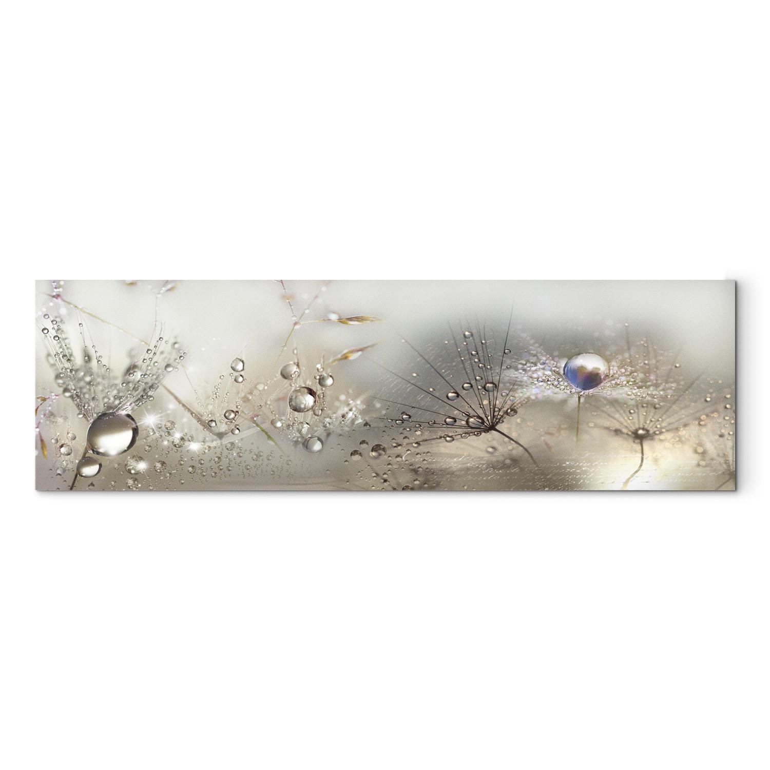 Canvas Dandelions in Fog (1-piece) - Romantic Beige Summer Flowers