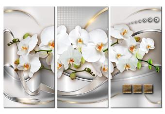 Canvas Blooming Orchids I