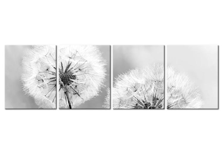 Canvas Print Fluffy Dandelions (4 Parts) Grey