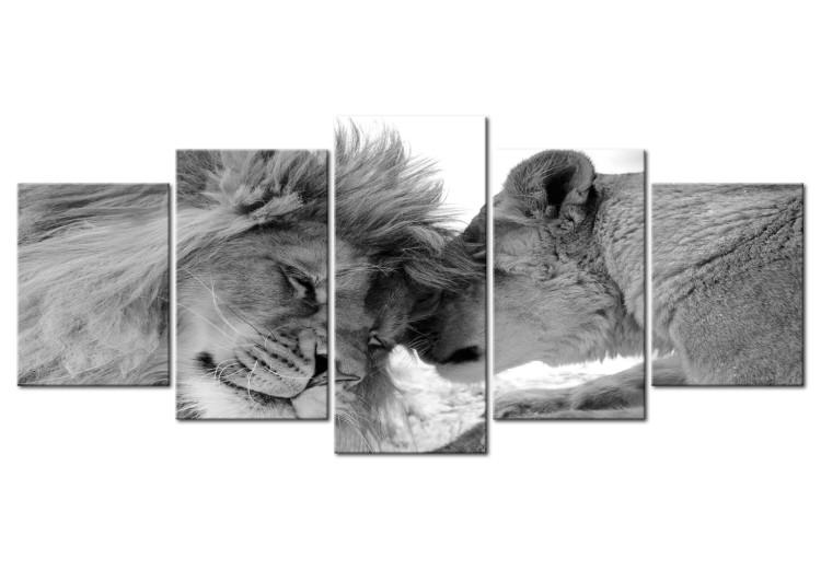 Canvas Print Lion's Love (5 Parts) Wide