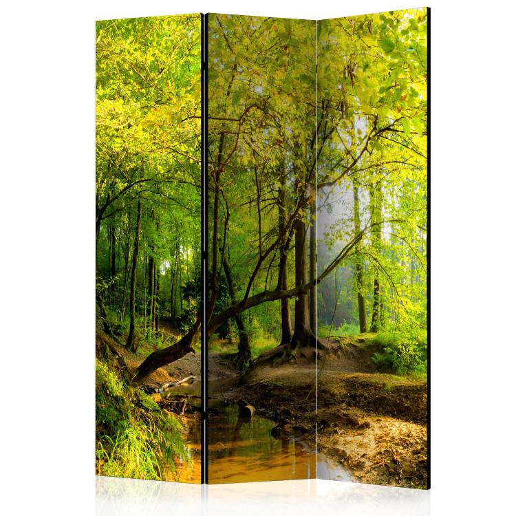 Room Divider Forest Clearing [Room Dividers]