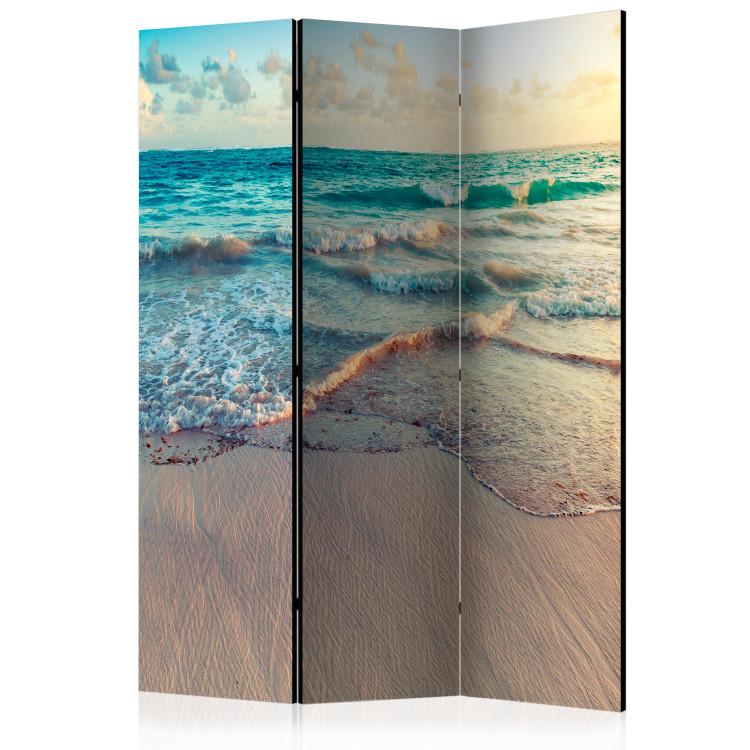 Room Divider Beach in Punta Cana [Room Dividers]