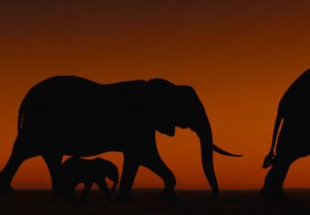 Canvas Elephant Family (Orange)