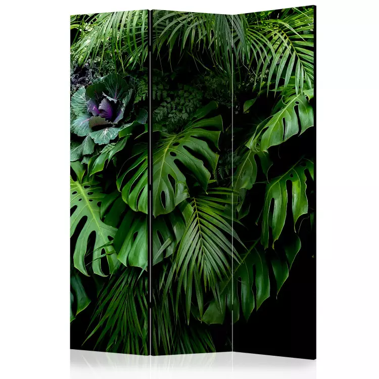 Rainforests - landscape of tropical monstera leaves against a jungle backdrop