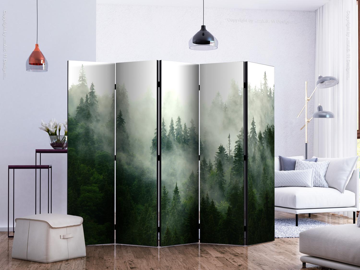 Room Divider Coniferous Forest II - landscape of spruce forest scenery in fog