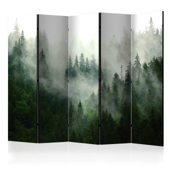 Room Divider Coniferous Forest II - landscape of spruce forest scenery in fog