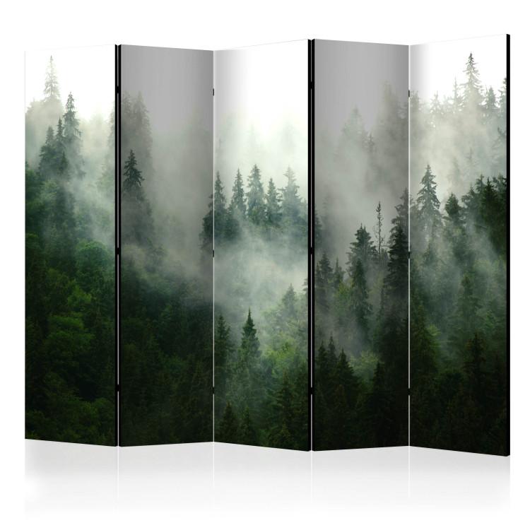 Coniferous Forest II - landscape of spruce forest scenery in fog