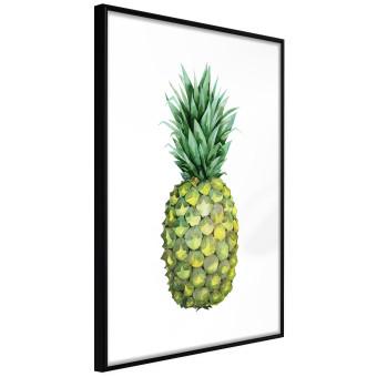 Pineapple - composition with a tropical fruit on a solid white background