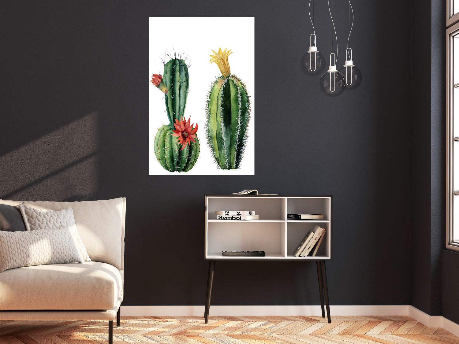 Poster Cacti - composition of two blooming tropical plants on a white background