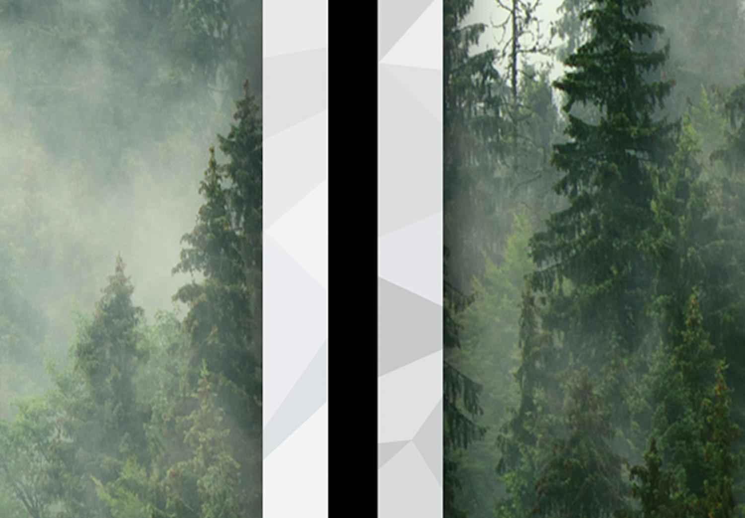 Poster Memory cards - landscape of dense forest in the mist in several frames