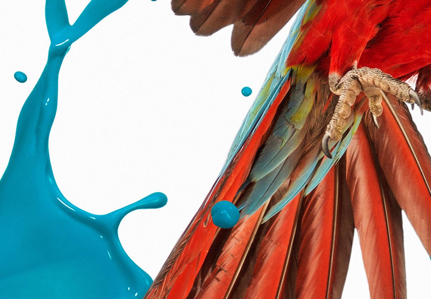 Poster Parrot in Flight - colorful tropical bird and blue paint splatter