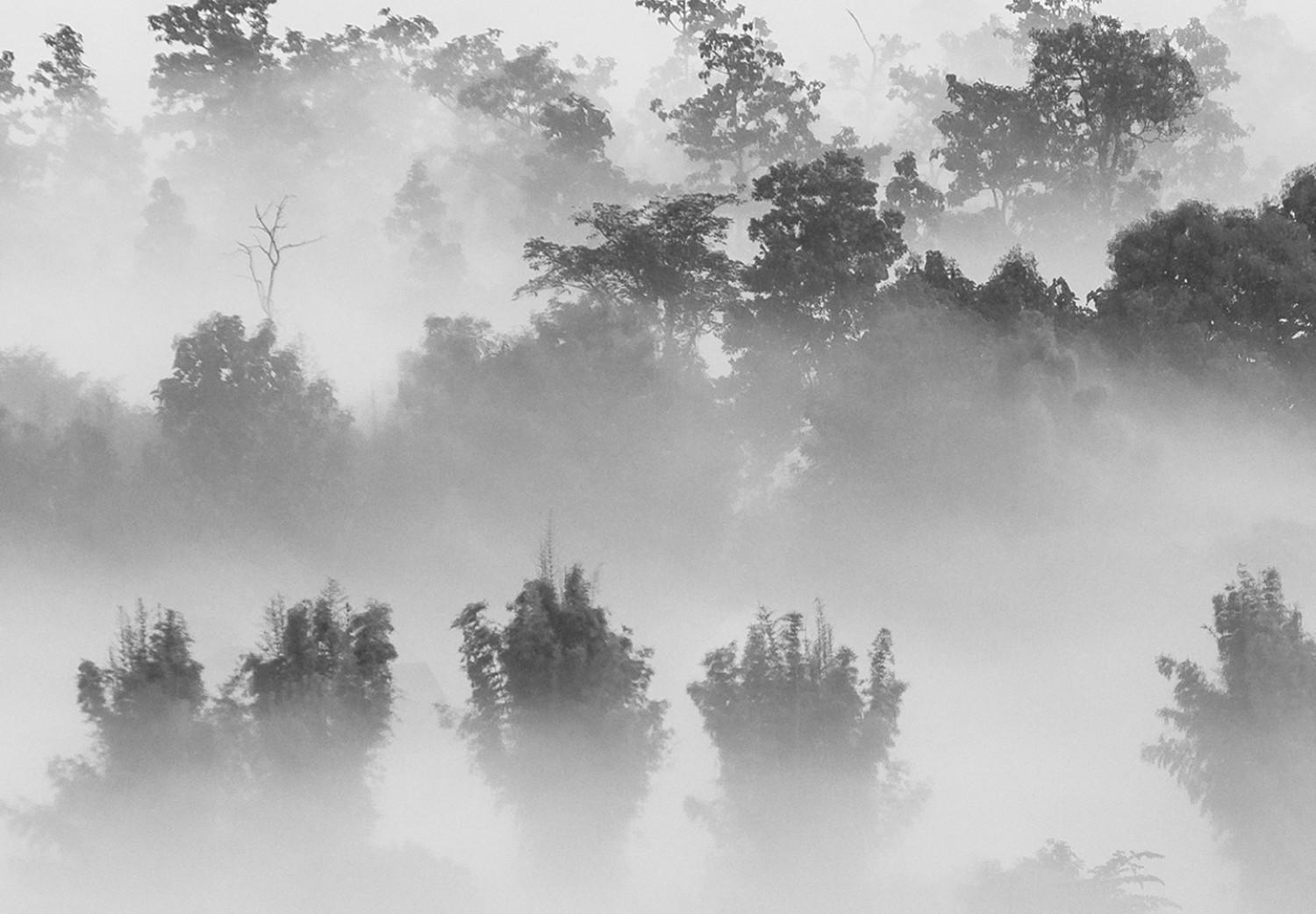 Poster Dense fog - black and white landscape overlooking misty treetops