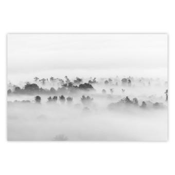 Poster Dense fog - black and white landscape overlooking misty treetops