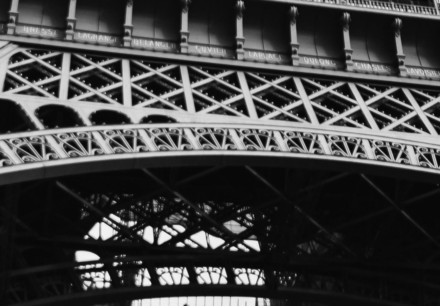 Gallery wall Parisian giant - black and white shot of the Eiffel Tower from a frog's perspective
