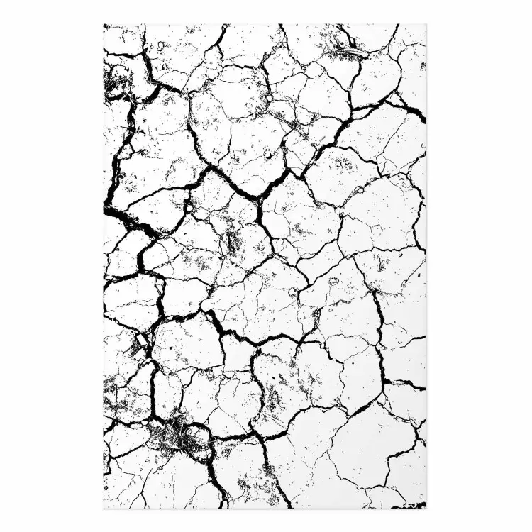 Cracked earth - black and white composition with irregular texture