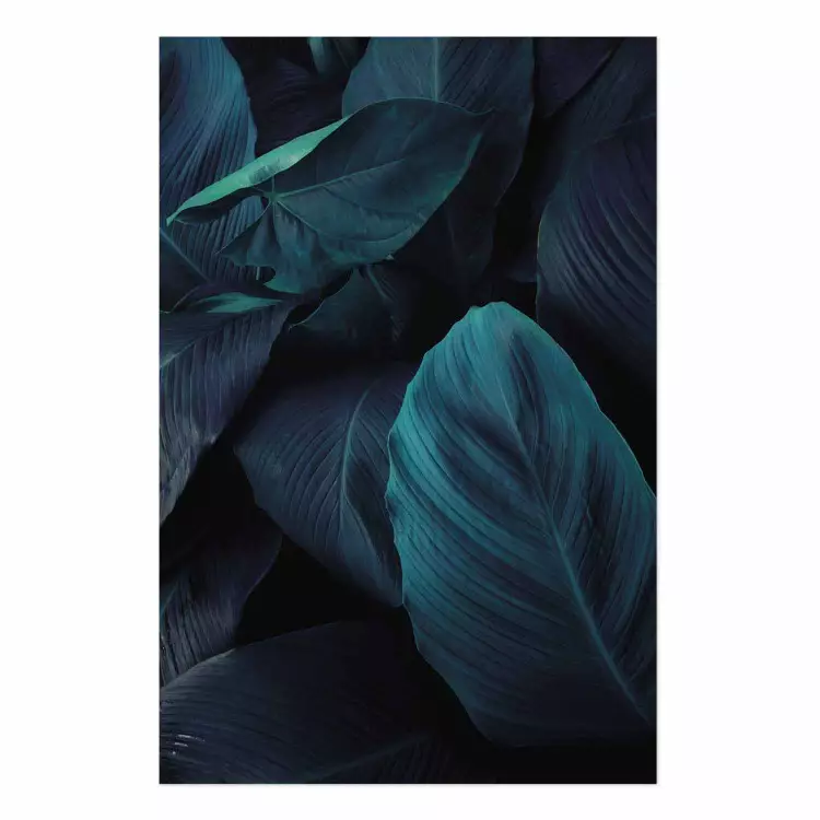 Gallery wall Jungle night - composition with large dark green tropical leaves