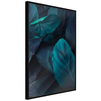 Gallery wall Jungle night - composition with large dark green tropical leaves