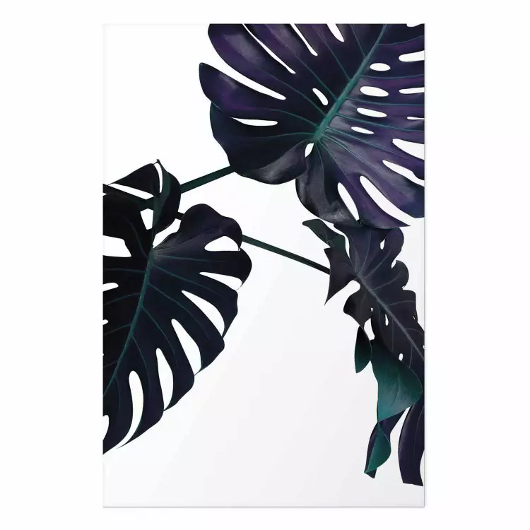 Gallery wall Evergreen - composition with dark tropical leaves on a white background