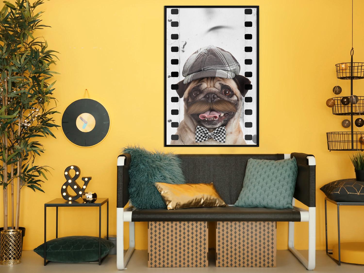 Gallery wall Pug in a Hat - funny fantasy with a mustached dog with a black and white bowtie