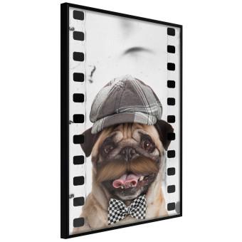 Gallery wall Pug in a Hat - funny fantasy with a mustached dog with a black and white bowtie