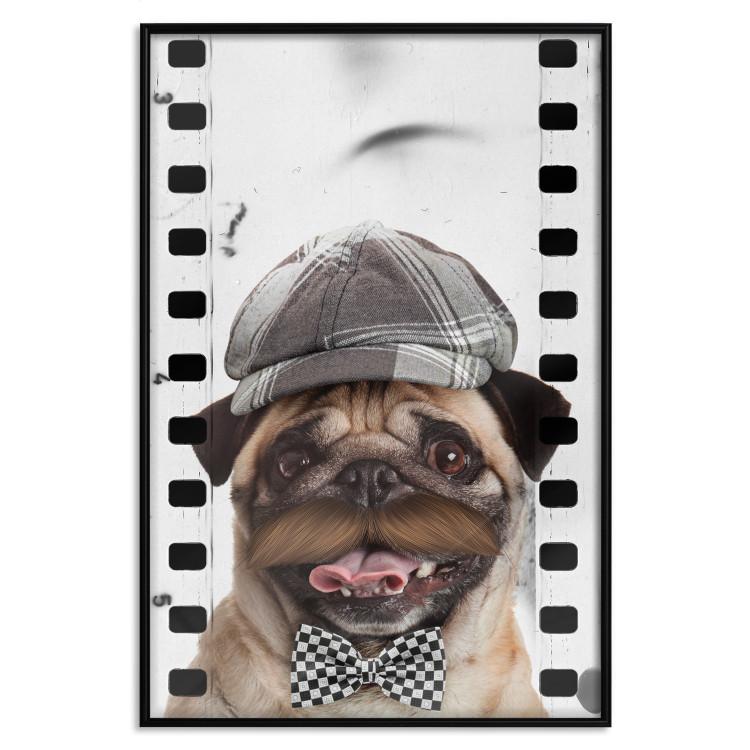 Poster Pug In Hat [Poster]