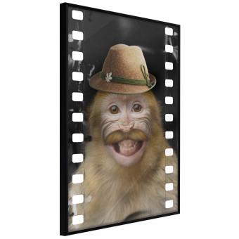 Monkey in a Hat - smiling monkey with mustaches in a cinematic shot