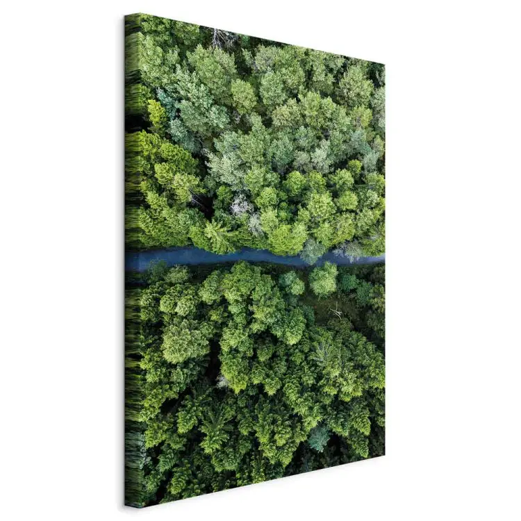 Road Through Forest Vertical