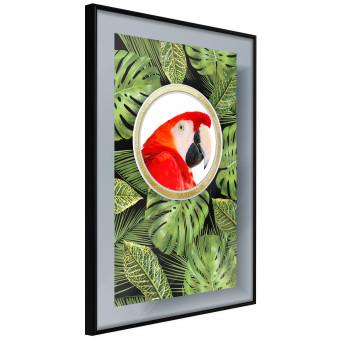 Gallery wall Parrot in the jungle - colorful bird on a background of green tropical leaves