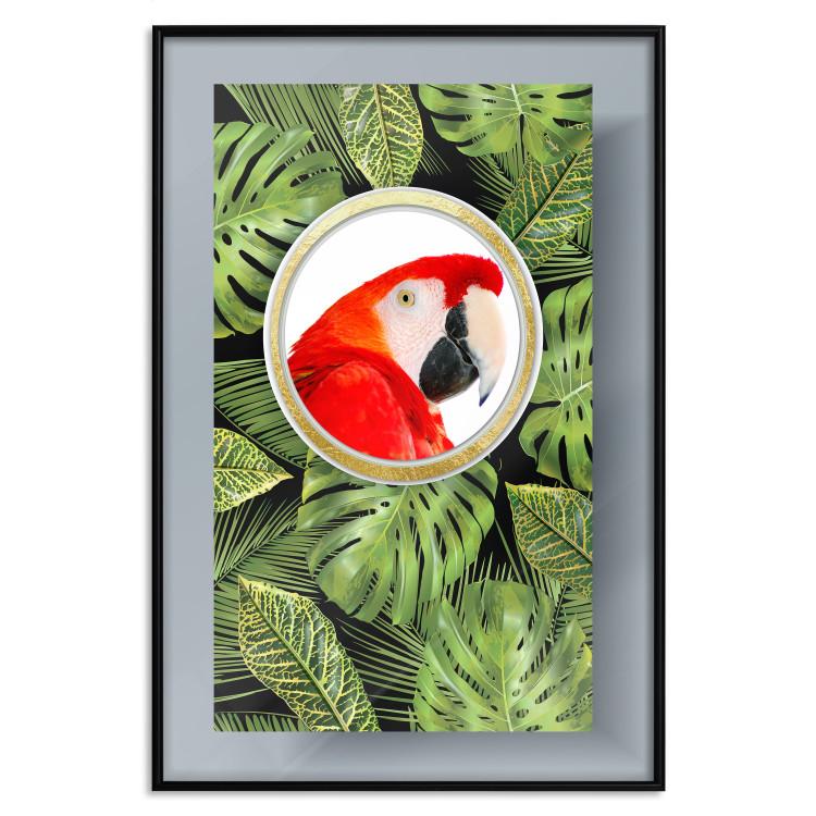 Poster Parrot In The Jungle [Poster]