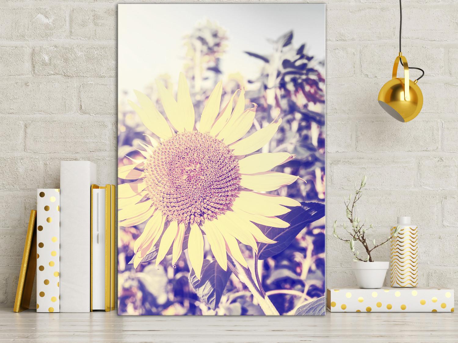 Canvas The memory of summer - a sunflower in a field with a purple glow