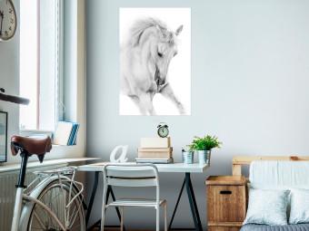 Poster White Horse - black and white sketched portrait of a majestic animal