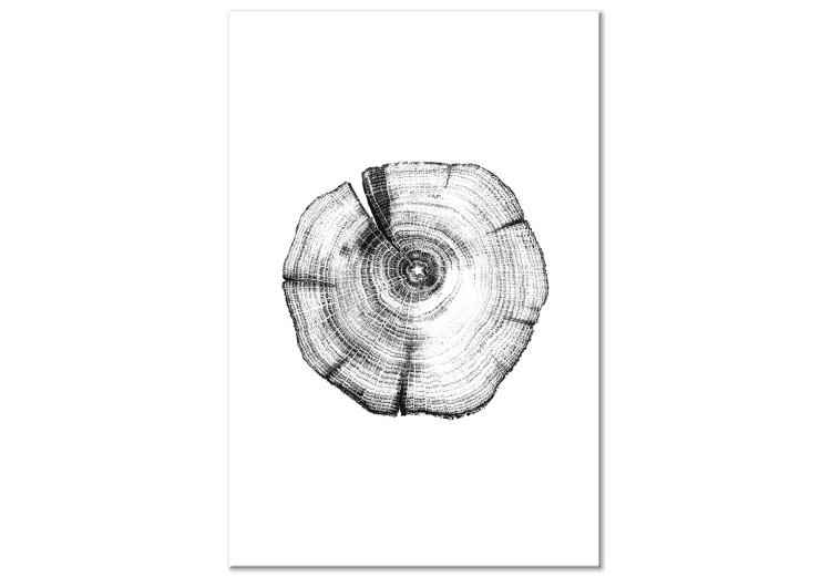 Canvas Print Tree rings - black and white, cross-section of the tree trunk