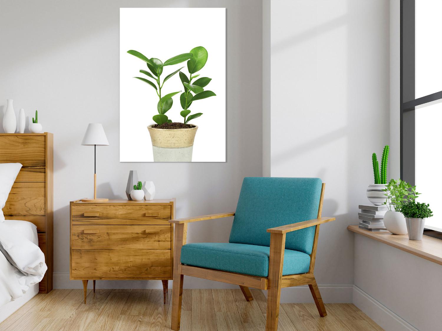 Poster Potted Plant - composition with green leaves on a solid background