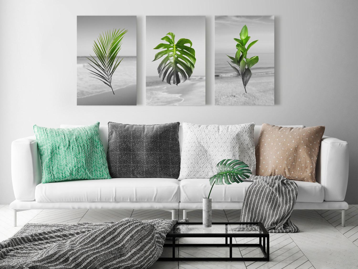 Canvas Plants (Collection)