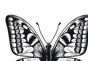 Canvas Three Butterflies (1 Part) Vertical