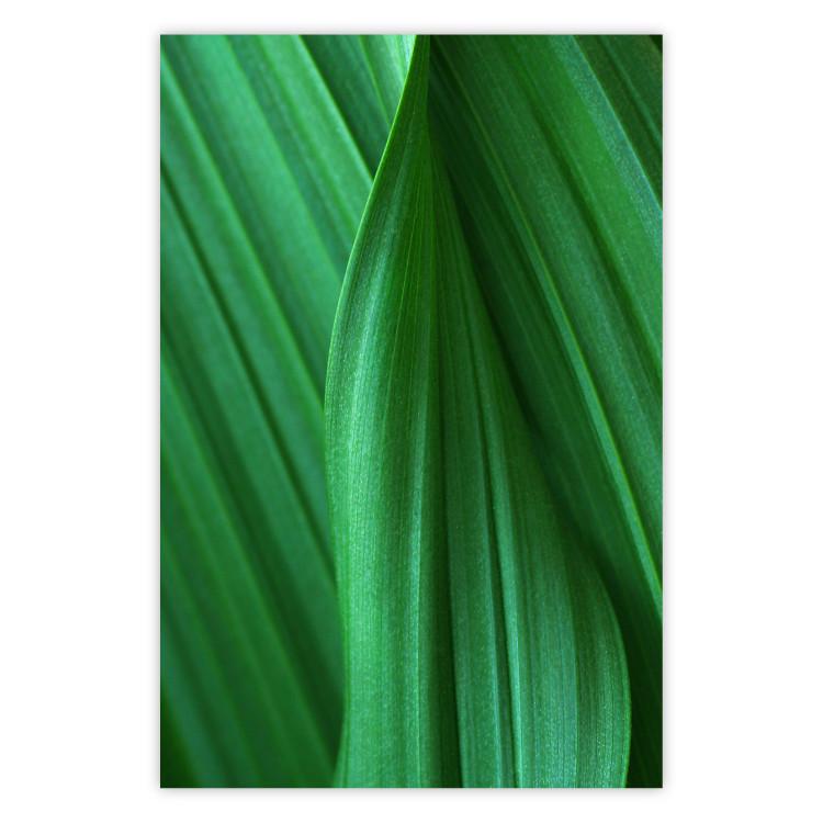 Leaf Texture - composition with a green plant motif