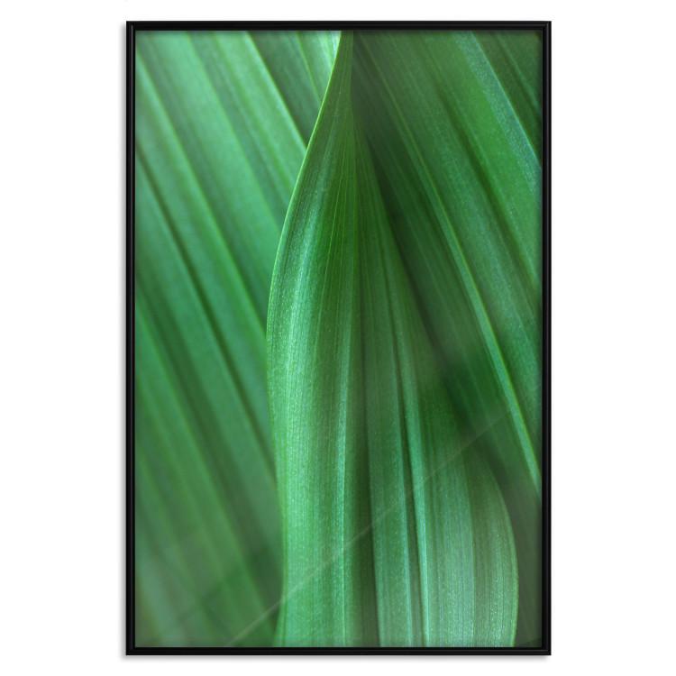 Leaf Texture - composition with a green plant motif