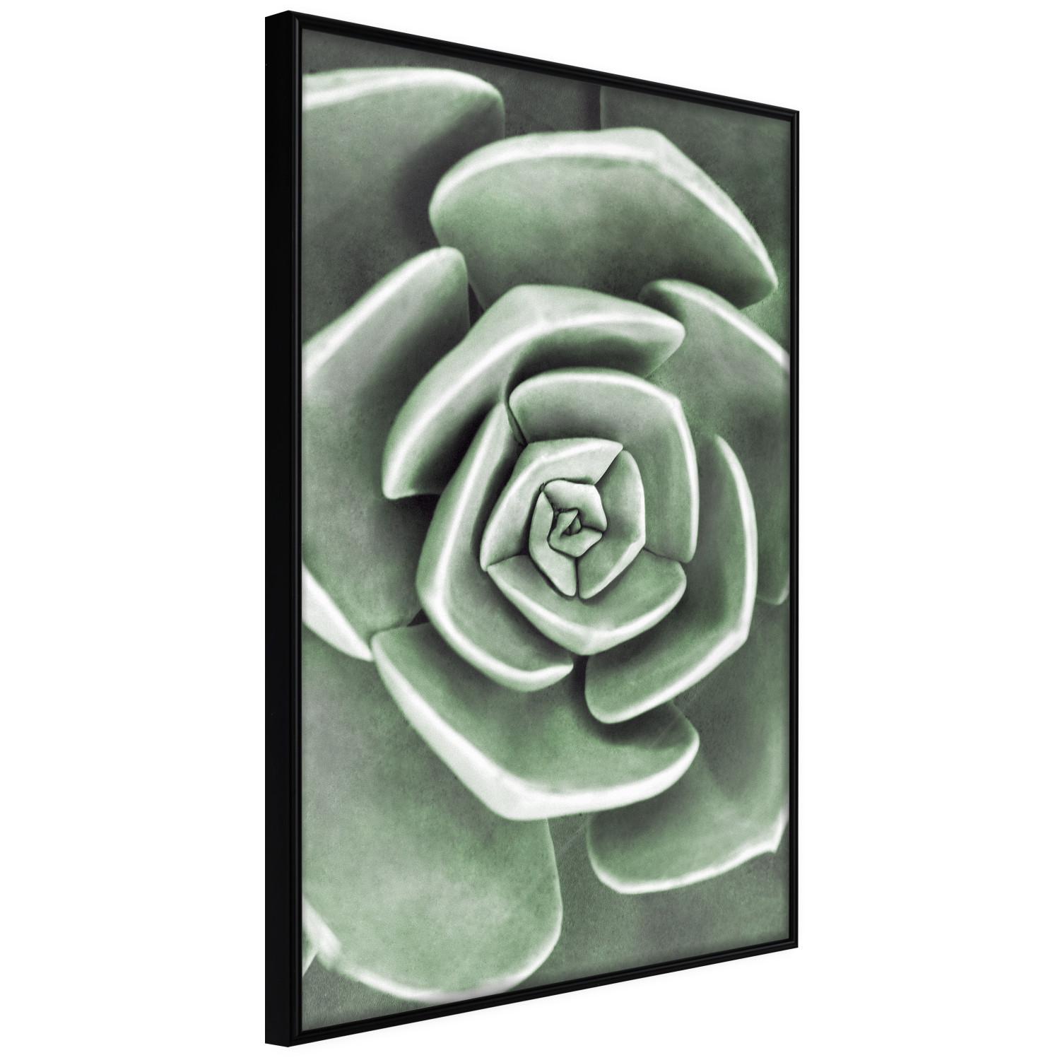 Gallery wall Beautiful Succulent - Scandinavian plant composition with green leaves