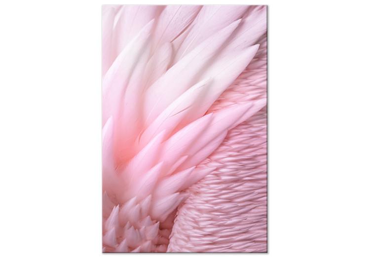 Pink feathers - the delicacy and subtlety of the unique bird nature