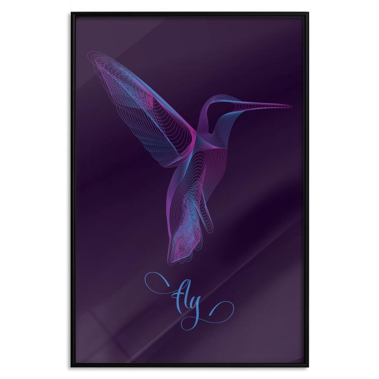 Poster Purple Hummingbird [Poster]