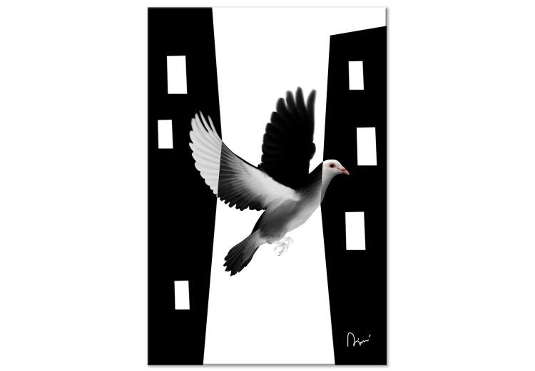 Canvas Print City pigeon - a bird that blends into the city in black and white