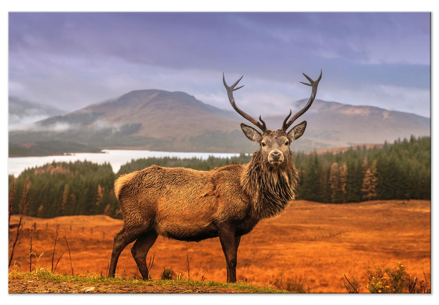 Canvas Mountain Stag (1-part) - Animal Amid Sky and Forest Landscape