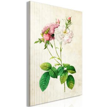 Canvas Nature in Retro Mood (1-part) - Flowers on Brown Stripes