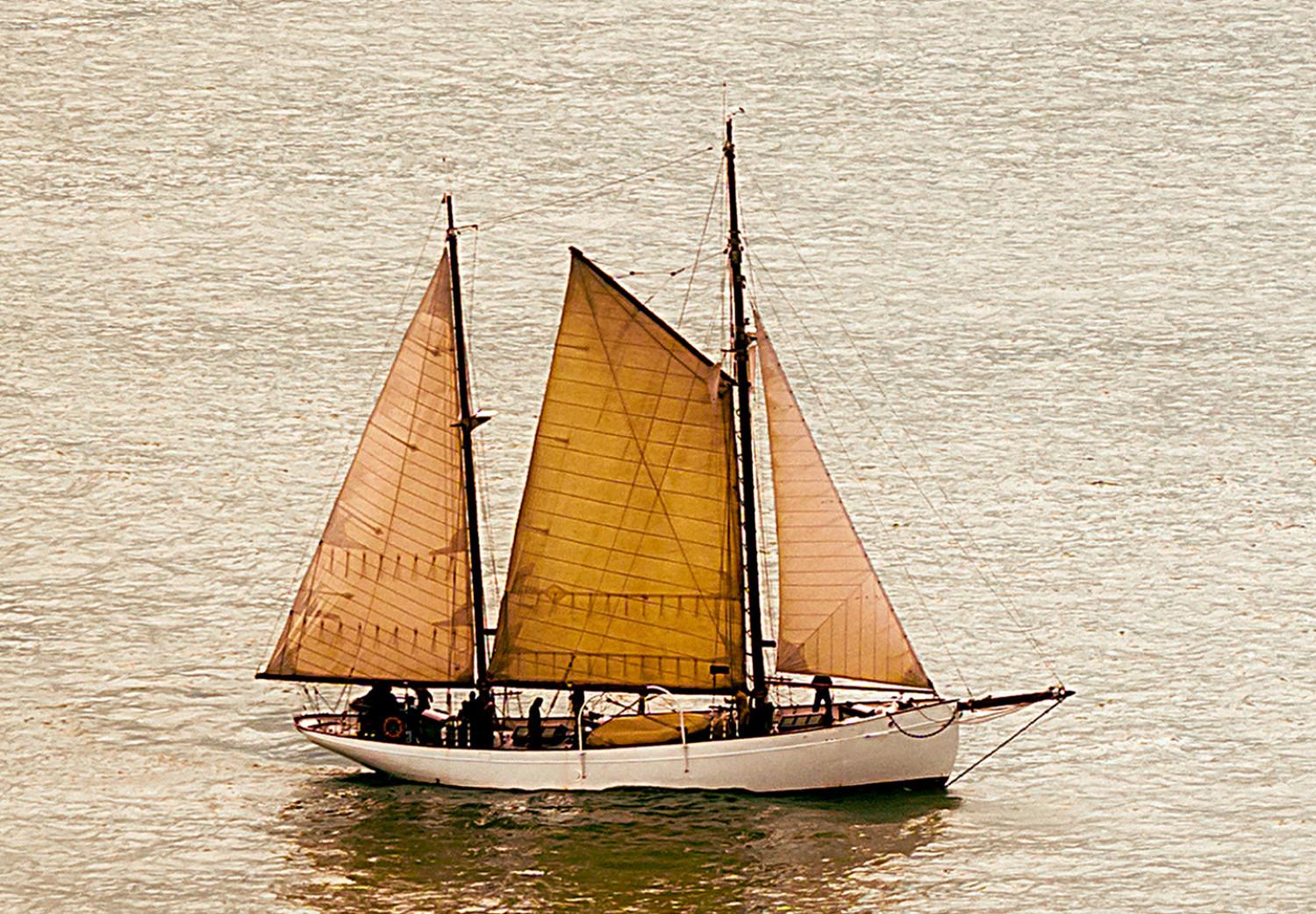 Poster Sailboat - brown sails against a beige-green seascape