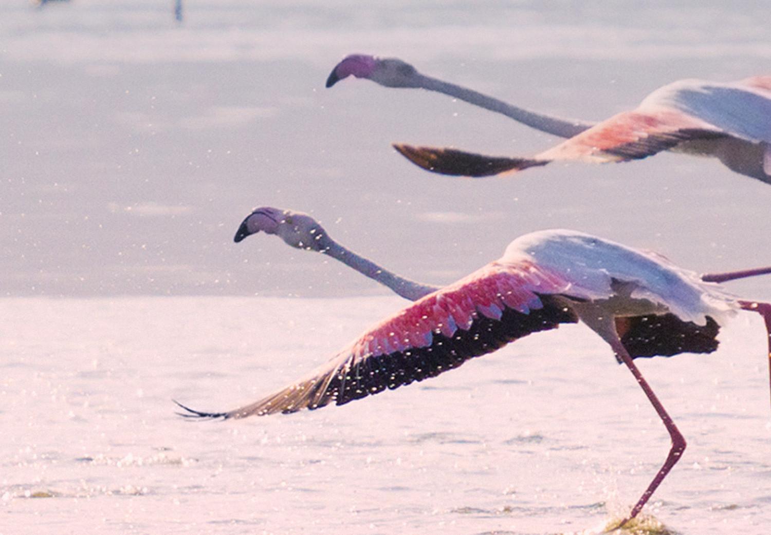 Canvas Birds Getting Ready to Fly (1-part) - Flamingos Against Water