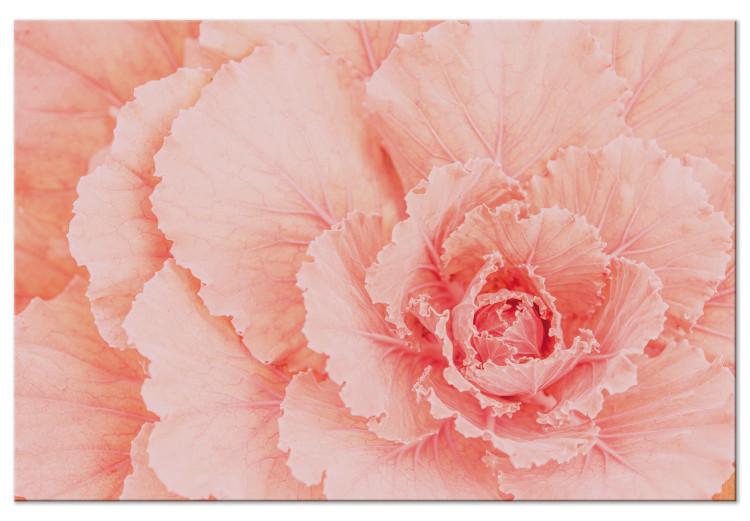 Delicate flower - a subtle plant in the color of natural pink