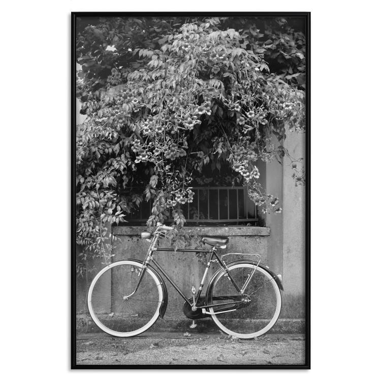 Poster Bicycle and Flowers [Poster]
