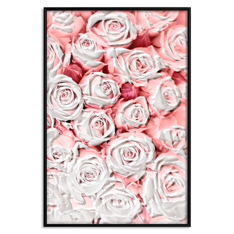 Poster White Roses [Poster]