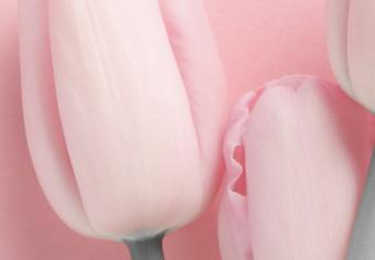 Poster Six Tulips - pink spring flowers and inscriptions on a pastel background